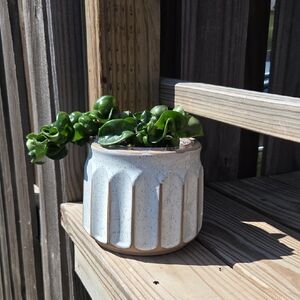 Scalloped Modern Ceramic Pottery 5" Planter